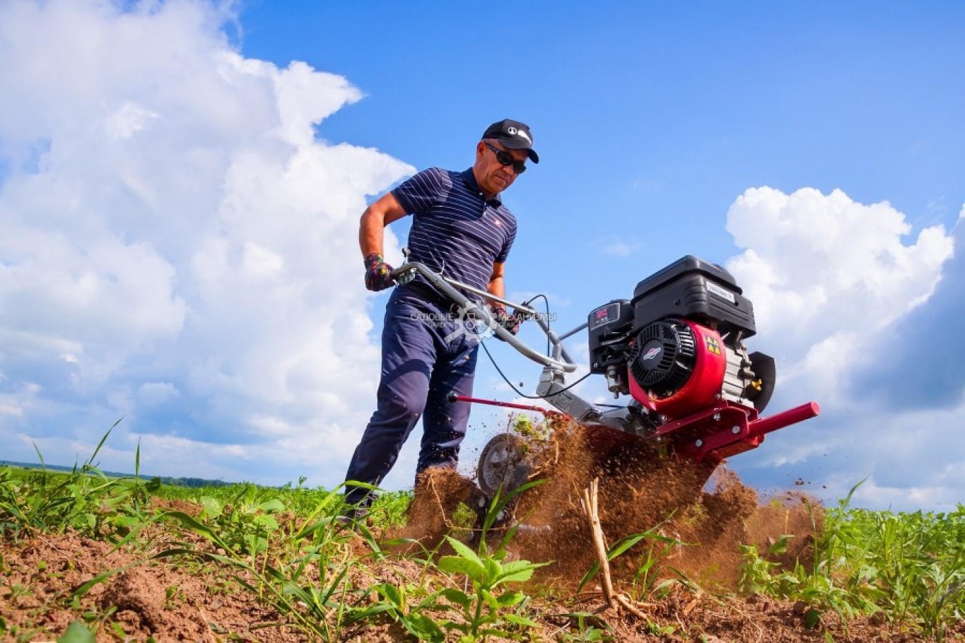 Дизельный или бензиновый мотоблок: что лучше для белорусских условий