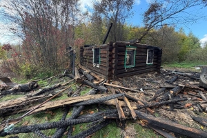 Жилой дом горел в д. Нестеровка