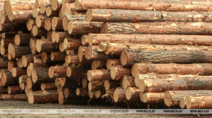 О мерах по удешевлению древесины для населения и о переориентации рынков сбыта