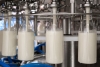 Беларусь в 2024 году экспортировала 6 млн тонн молока и молочных продуктов в 69 стран