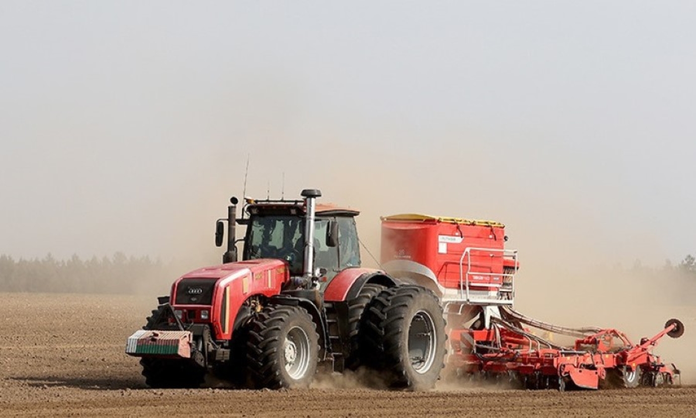 В Беларуси завершили сев сахарной свеклы