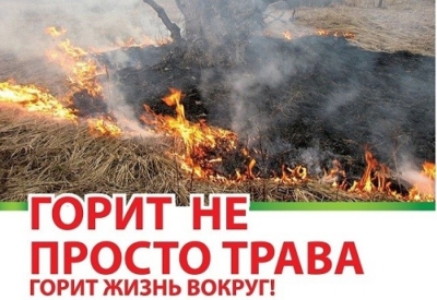 Ответственность за незаконное выжигание сухой растительности