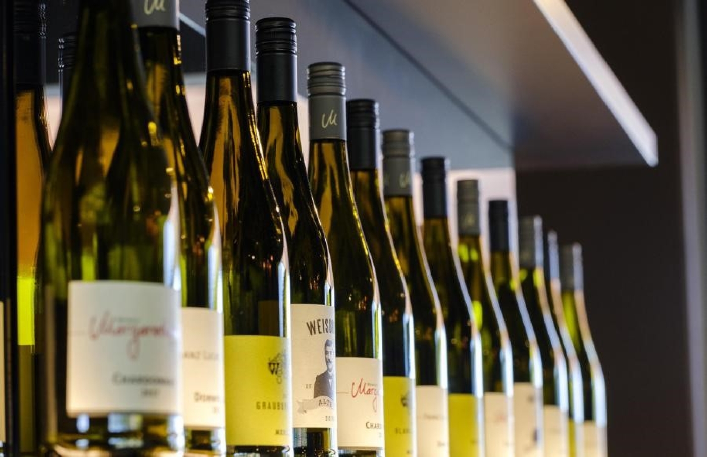 Сколько алкоголя белорусам можно хранить дома? Разбираемся в нюансах