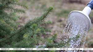 Республиканский субботник проходит сегодня в Беларуси