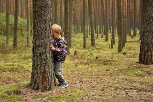 Если ребенок потерялся в лесу: что нужно знать родителям, чтобы избежать трагедии