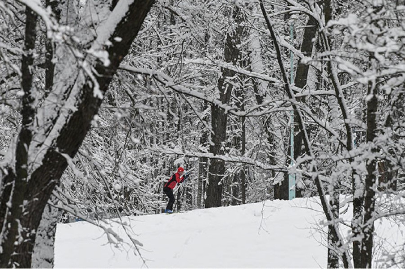 Финальные соревнования республиканской спартакиады школьников по лыжным гонкам пройдут 24-26 февраля