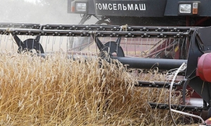 В Беларуси намолотили свыше 11 млн тонн зерна с учетом рапса и кукурузы