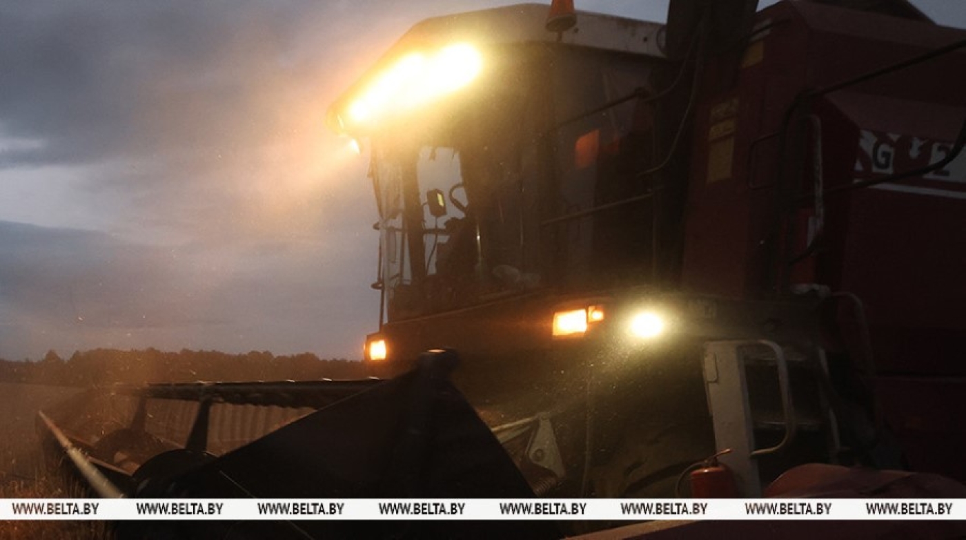 Работа в ночное время и помощь отстающим. Сысоев о ходе уборочной в Минской области