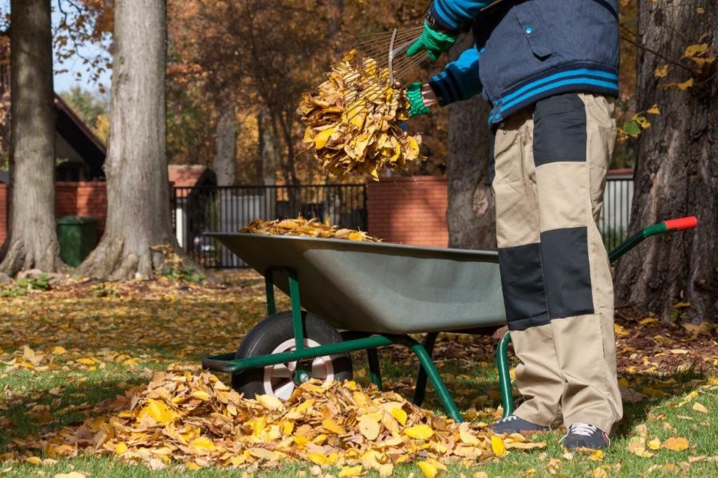 Что нельзя делать садоводам и огородникам в октябре