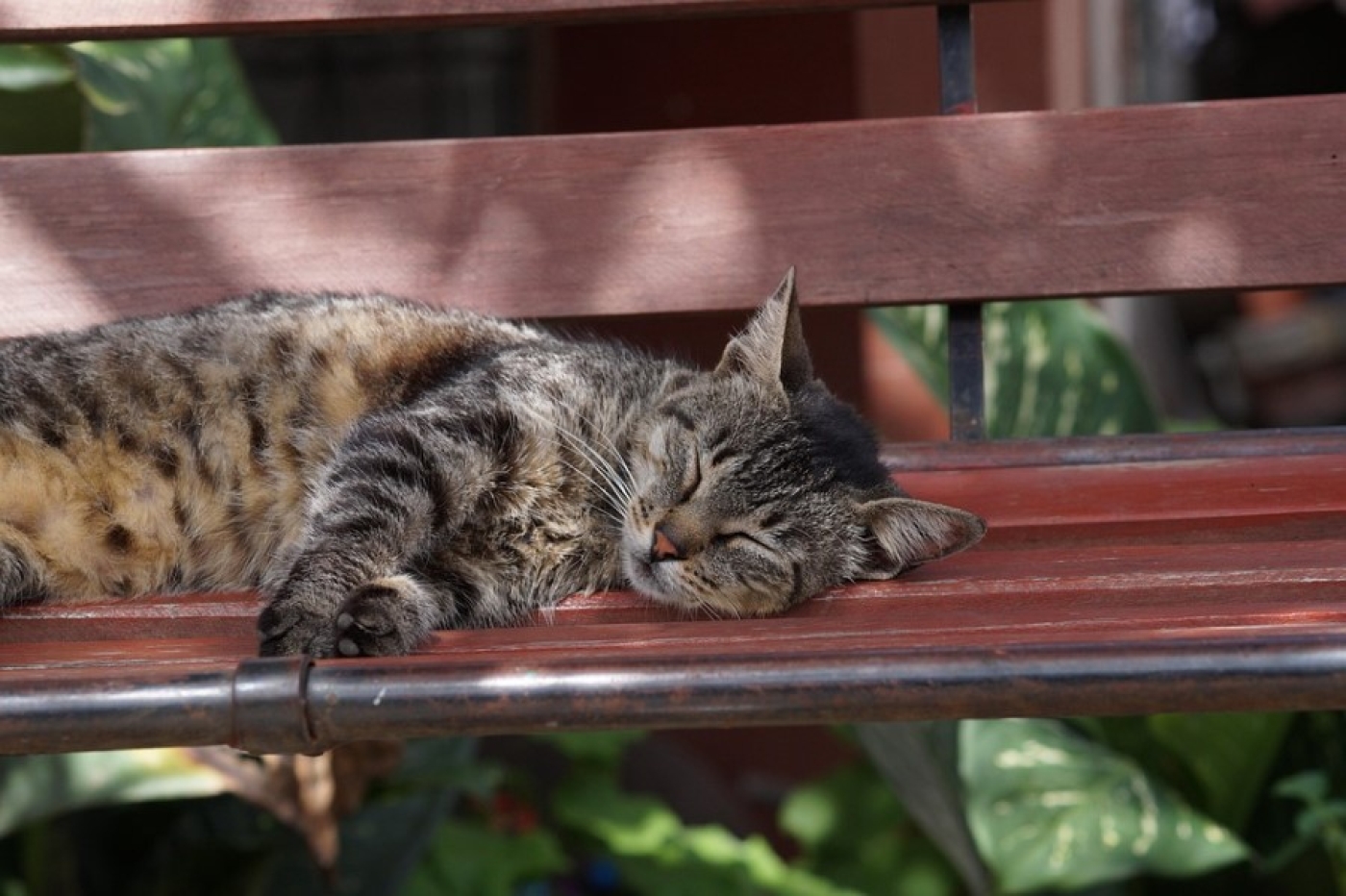 Белорусов ждут три недели длинных выходных: когда отдыхать в конце 2025 – начале 2026-го