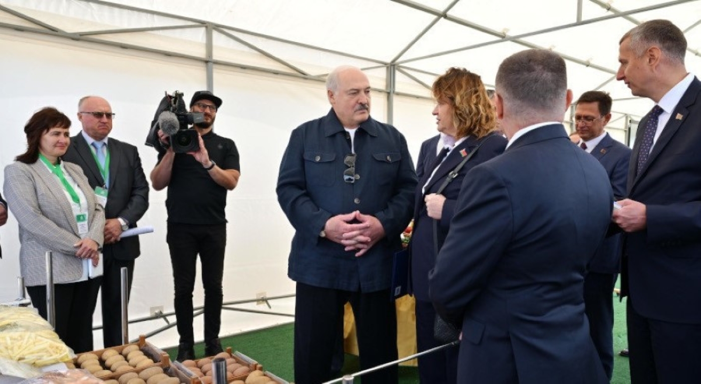 Лукашенко поручил ученым сделать устойчивый к болезням сорт картофеля