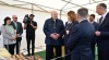 Лукашенко поручил ученым сделать устойчивый к болезням сорт картофеля