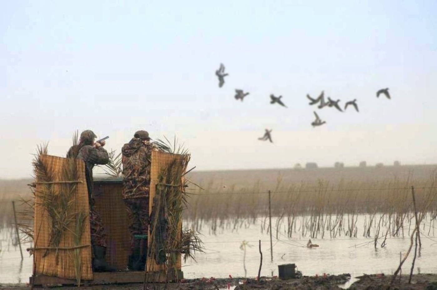 С 9 марта открылся весенний сезон охоты на пернатую дичь