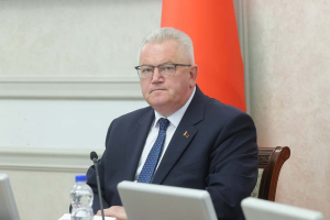 О значимости ВНС и всенародного обсуждения законопроектов в Беларуси рассуждают эксперты