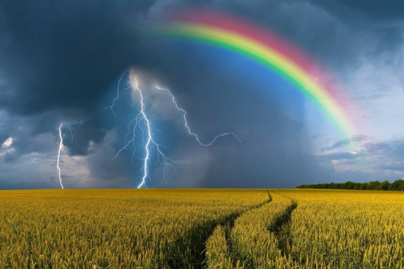 Погода в Беларуси 16 июля: оранжевый уровень опасности из-за гроз, ливней, шквалистого ветра и до +29 °С