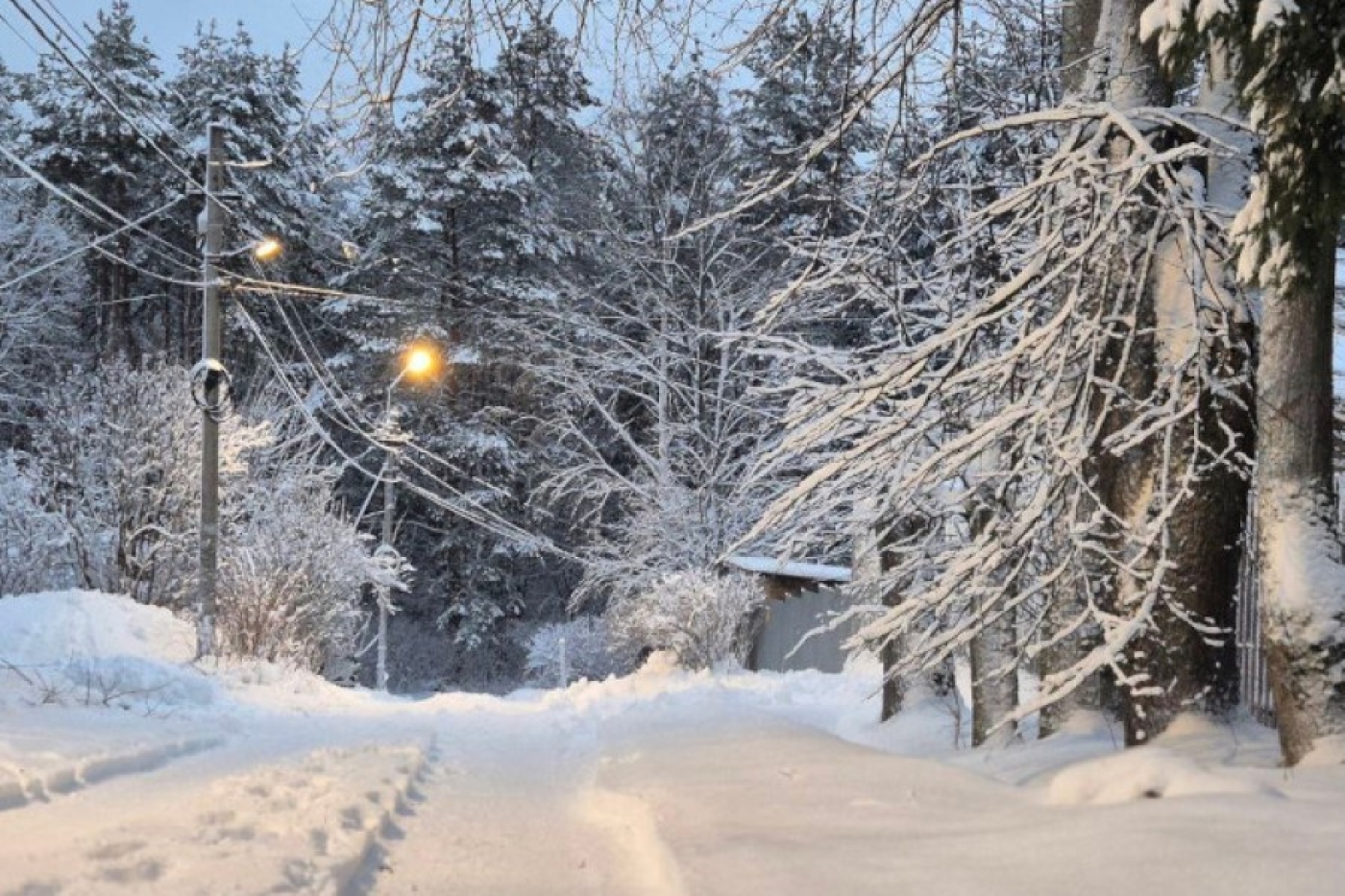 Мокрый снег и слабая метель ожидаются сегодня в Беларуси
