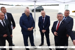 Лукашенко обозначил ключевое условие для господдержки в сельском хозяйстве - результат