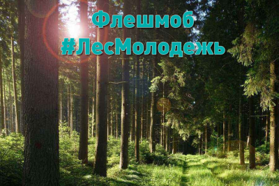 Березинский лесхоз присоединился к флешмобу #ЛесМолодежь