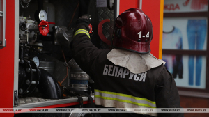 МЧС: в Беларуси за сутки два человека госпитализированы с ожогами