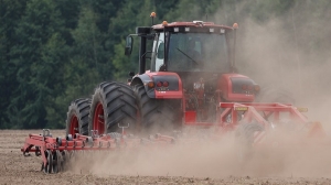 Сев овощей в Беларуси близится к финишу