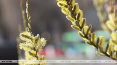 Дзень Перамогі для мяне – гэта…