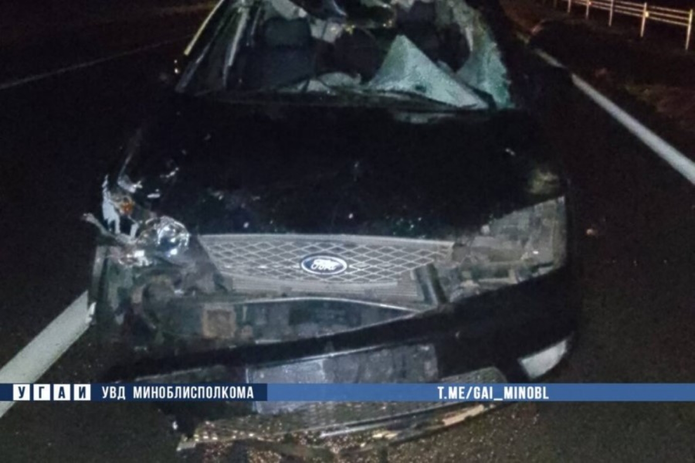 ДТП с лосем на трассе М4 под Березино — водитель госпитализирован