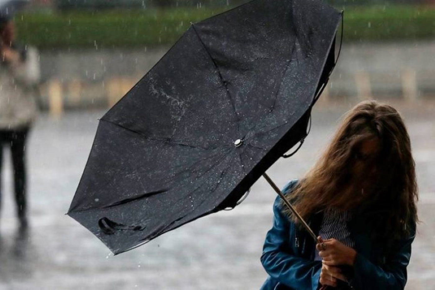 Погода в Беларуси 20 июня: оранжевый уровень опасности из-за ветра, сильные дожди и от +8 °С до +21 °С