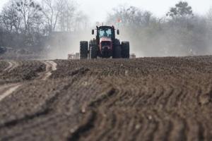 Сев ранних яровых зерновых и зернобобовых в Беларуси выполнен на 16% площадей