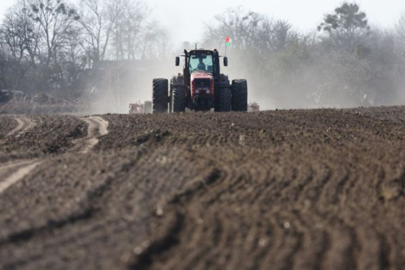 Сев ранних яровых зерновых и зернобобовых в Беларуси выполнен на 16% площадей