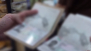 В Березинском районе проведен второй этап операции по противодействию незаконной миграции «Нелегал-2024»