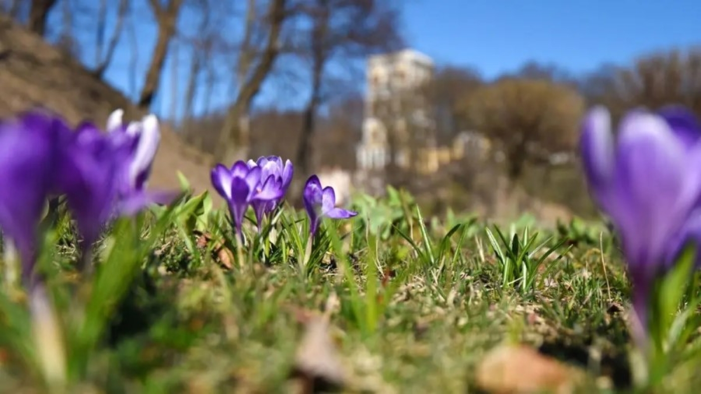 Погода в Беларуси 24 апреля: кратковременные дожди, грозы и от +4 °С до +25 °С