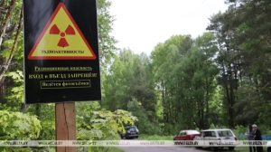 Беспропускной режим на Радуницу в зоне отселения в Гомельской области будет действовать с 27 по 29 апреля