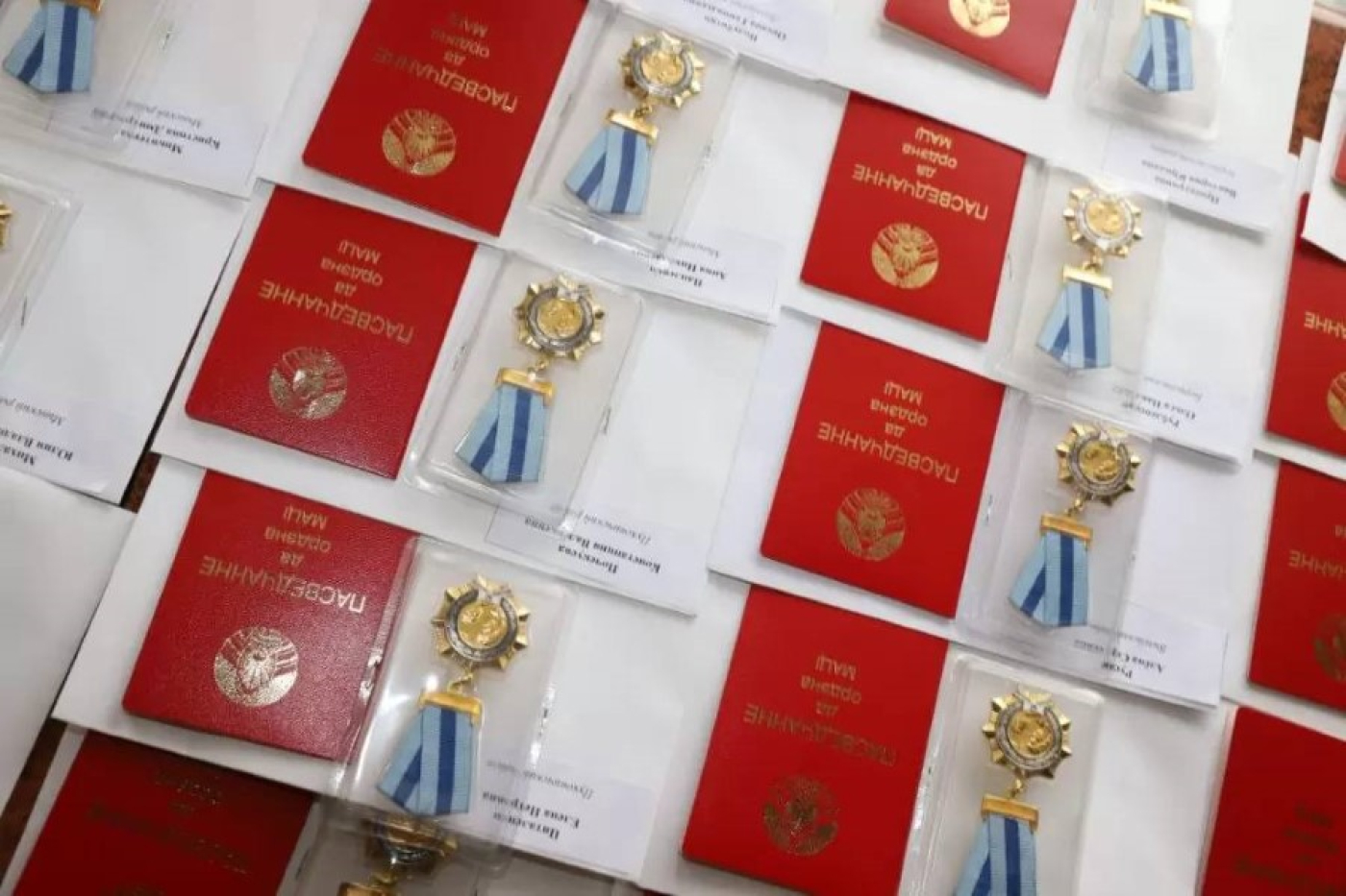 60 многодетных матерей Минской области удостоены ордена Матери