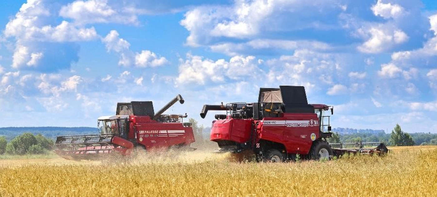 Соберем урожай без происшествий