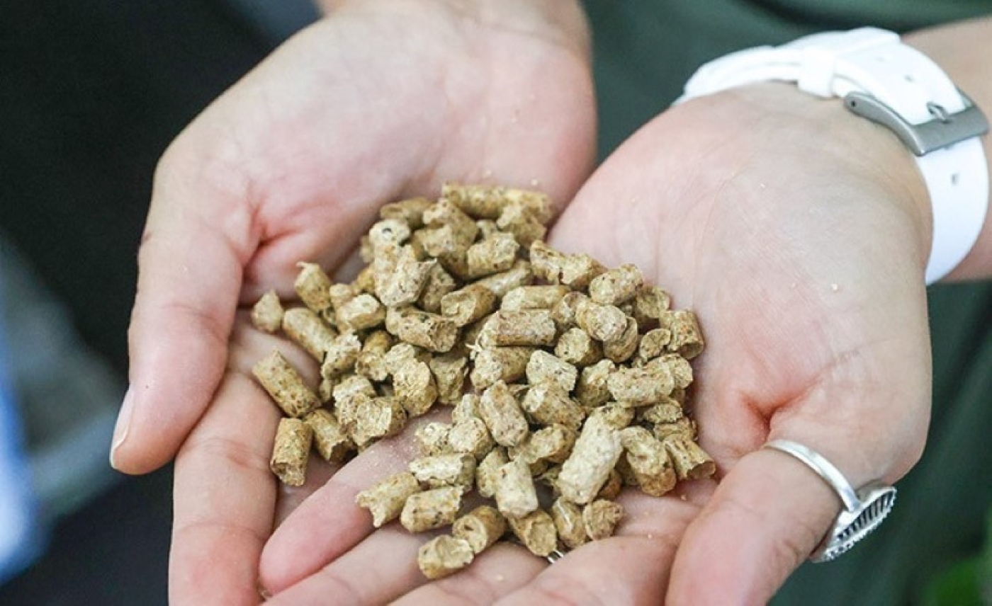 В Минлесхозе за семь месяцев реализовали более 50 тыс. тонн пеллет