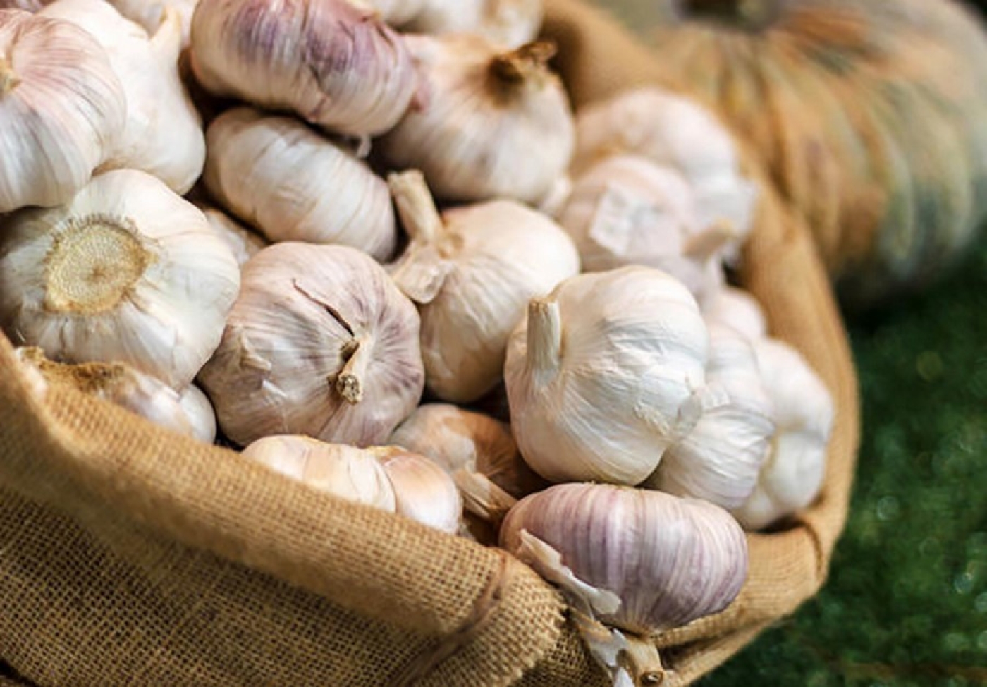 Топ-5 лучших способов хранения чеснока в квартире