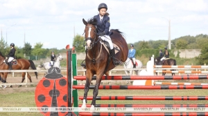 Соревнования, конкурсы и мастер-классы: спортивно-семейный фестиваль "Конная фиеста" проходит в Бресте