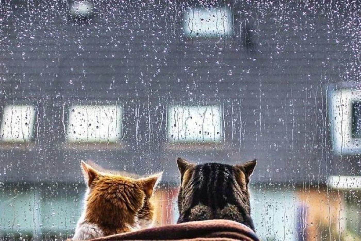 Погода в Беларуси 30 мая: дожди, местами грозы и от +7 °С до +23 °С