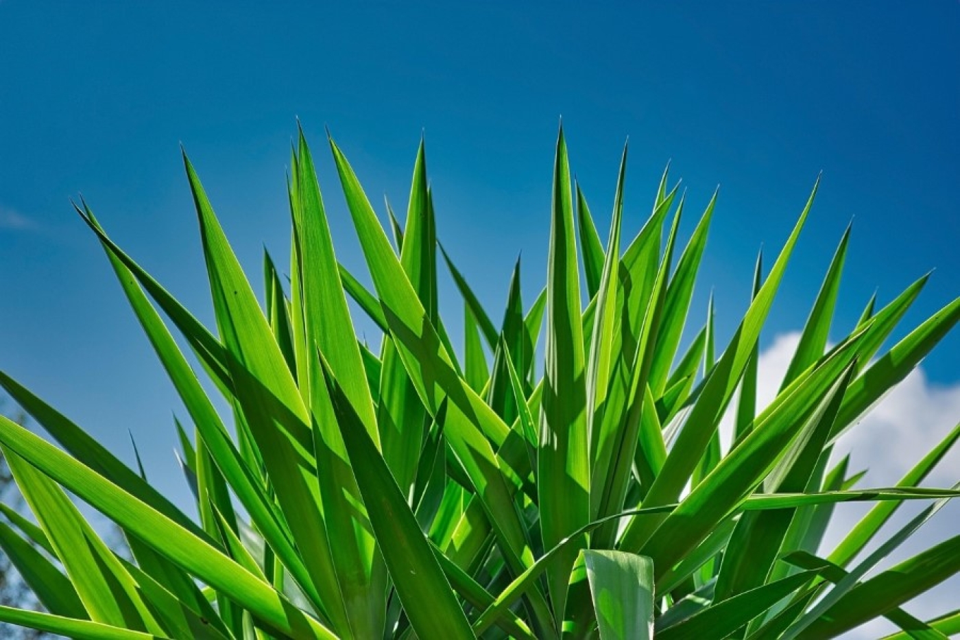 Погода 7 июля: кратковременные дожди и до +35 °С