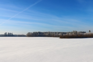 Снежный покров - защита для растений. В Минском облисполкоме рассказали о подготовке к весеннему севу
