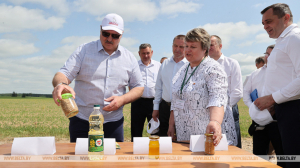&quot;Сегодня исторический момент&quot;. Лукашенко рассказал о грядущей революции в сельском хозяйстве