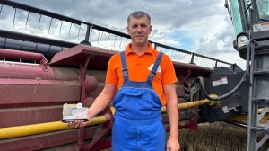 Новый рекорд установили хлеборобы Минской области