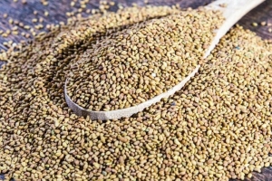 Отменены незаконные процедуры закупок семян люцерны предприятиями АПК