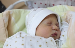 Минтруда: в Беларуси растет популярность отцовского отпуска