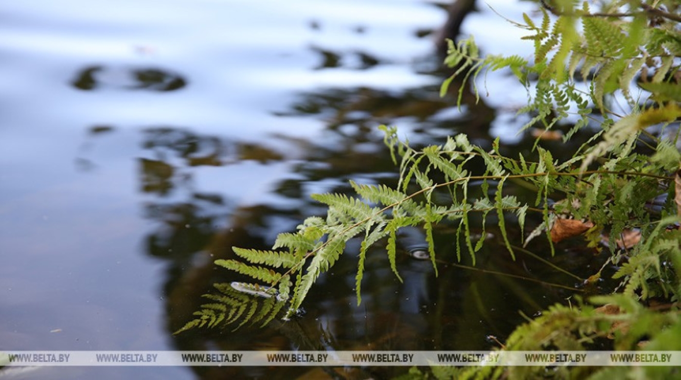 К чему приводит ныряние на мелководье, рассказала специалист
