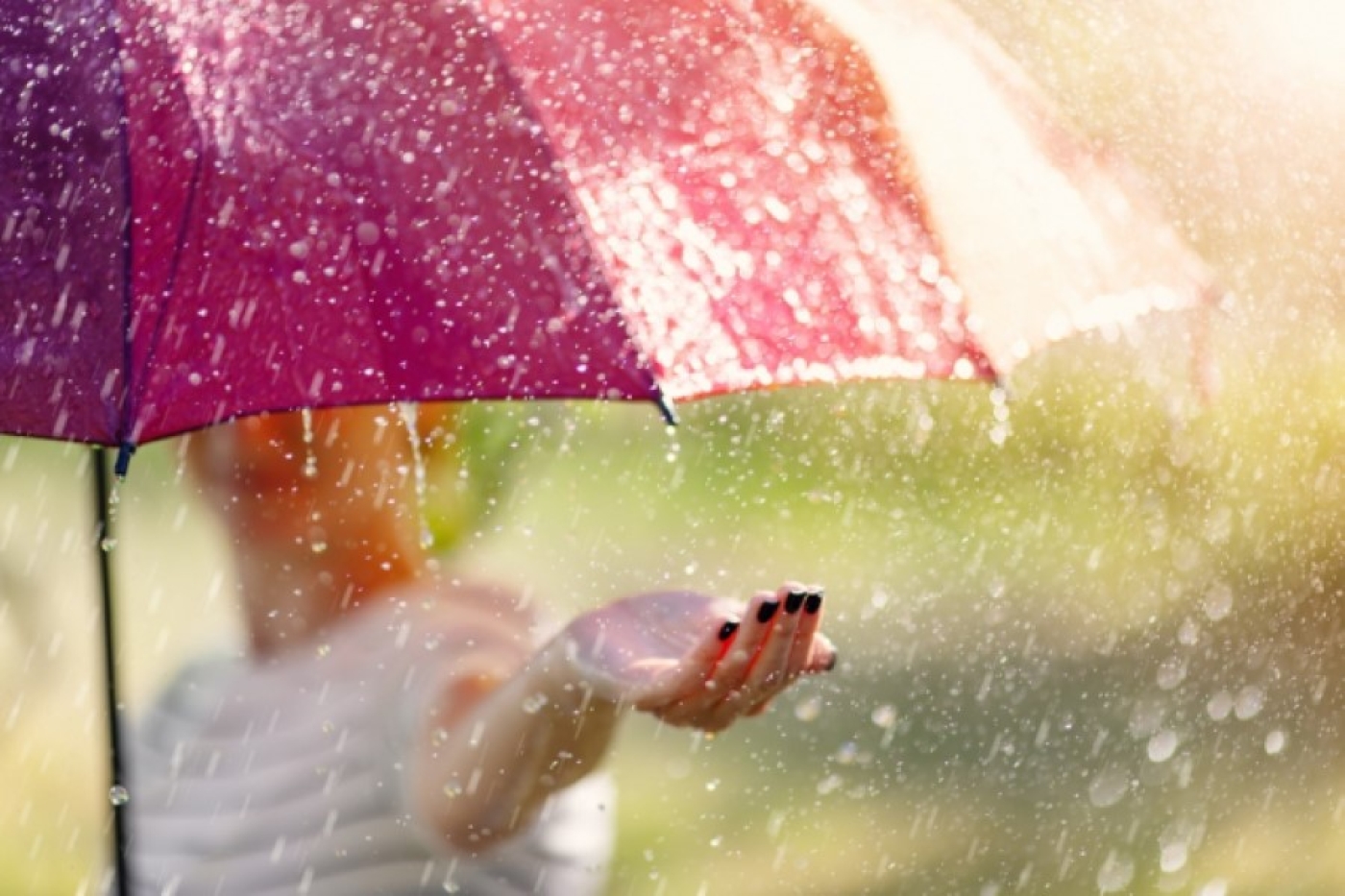 Погода в Беларуси в выходные: кратковременные осадки и от -4 °С до +12 °С