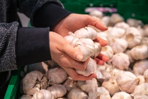 Финальная подкормка чеснока в июле: сыпем 10 г — головки с кулак и дольше хранятся