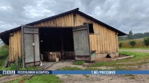Нелегальный самогонный завод ликвидировали в Молодечненском районе