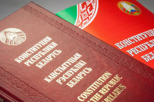 ЦИК: белорусы смогут досрочно отдать голос на референдуме по проекту Конституции