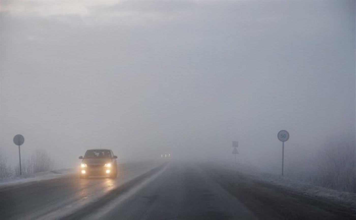 Плюсовая температура, осадки и туманы